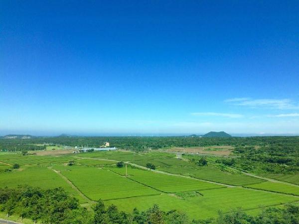 박물관 4층 전망대 전경 섬네일 이미지