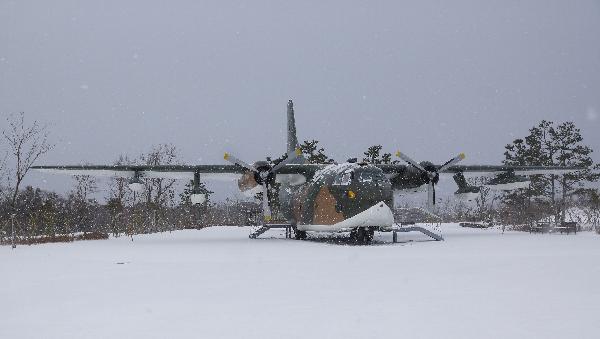 15.2. 博物馆现场