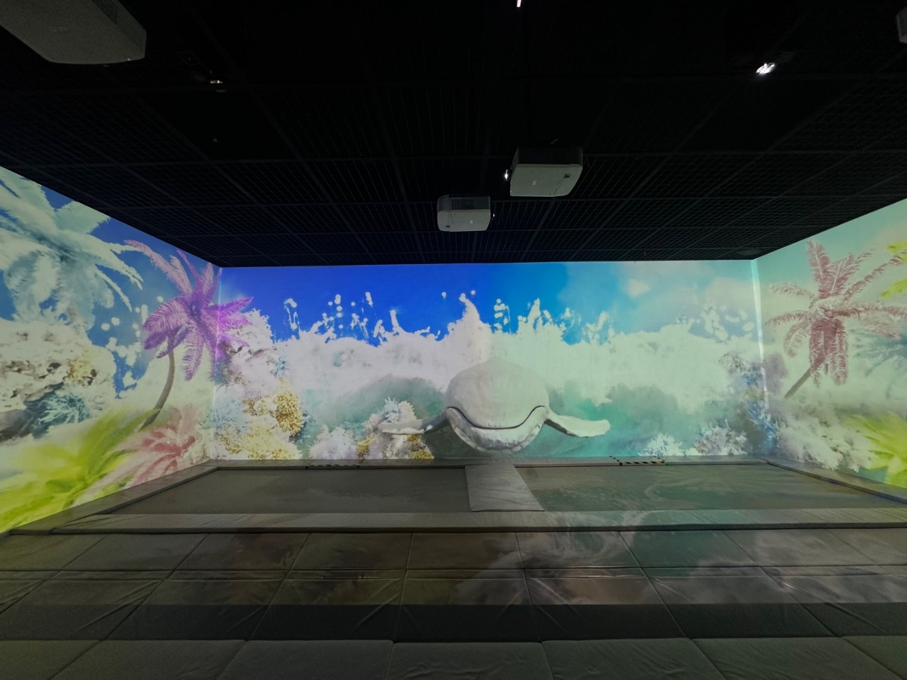 국립아시아문화전당재단 공동 협력전시 대표이미지